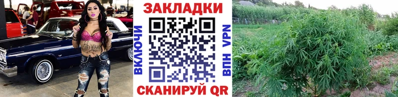 Наркошоп Краснообск Альфа ПВП  Конопля  МЕФ  ГАШИШ  ТГК  MEGA сайт  Cocaine 