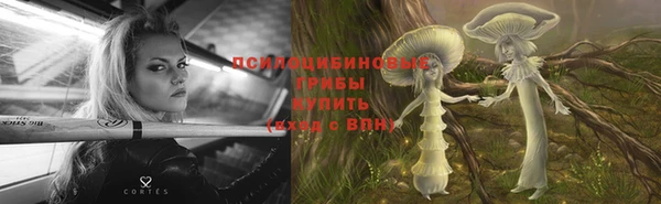 ПСИЛОЦИБИНОВЫЕ ГРИБЫ Алексин