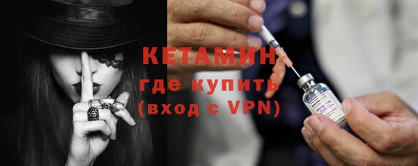 прущие грибы Пересвет