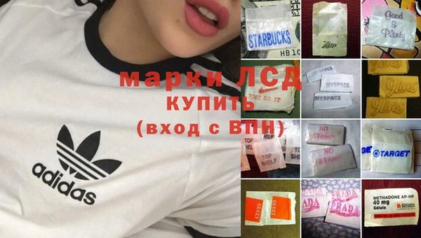 ПСИЛОЦИБИНОВЫЕ ГРИБЫ Алексин