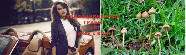 ПСИЛОЦИБИНОВЫЕ ГРИБЫ Алексин
